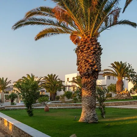 Irini Кипос-Афиарти