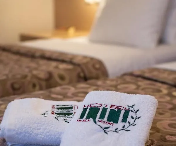 Irini Hotel Afiartis