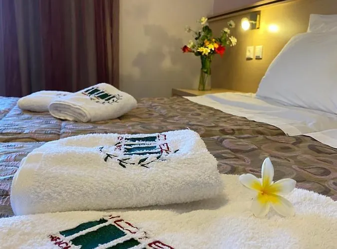 Hotel Irini Afiartis